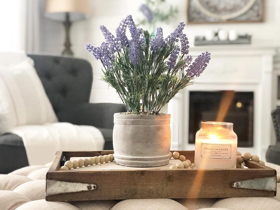 Aroma dari Tanaman Lavender