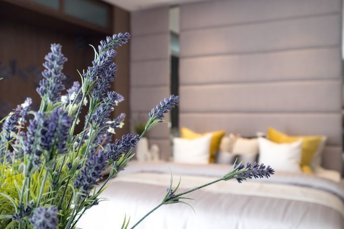 Ruang Tidur Segar dengan Tanaman Lavender