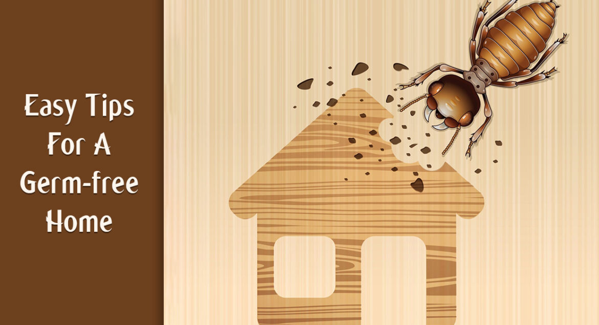 Tips Sederhana Merawat Lemari Pakaian agar Bebas Rayap