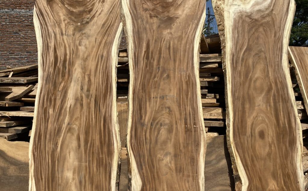 Mengenal Kayu Trembesi