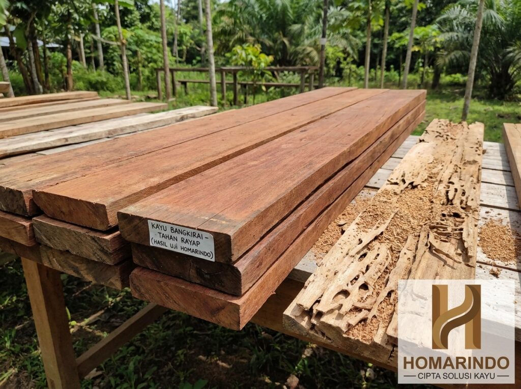 Kayu Bangkirai Tidak Dimakan Rayap