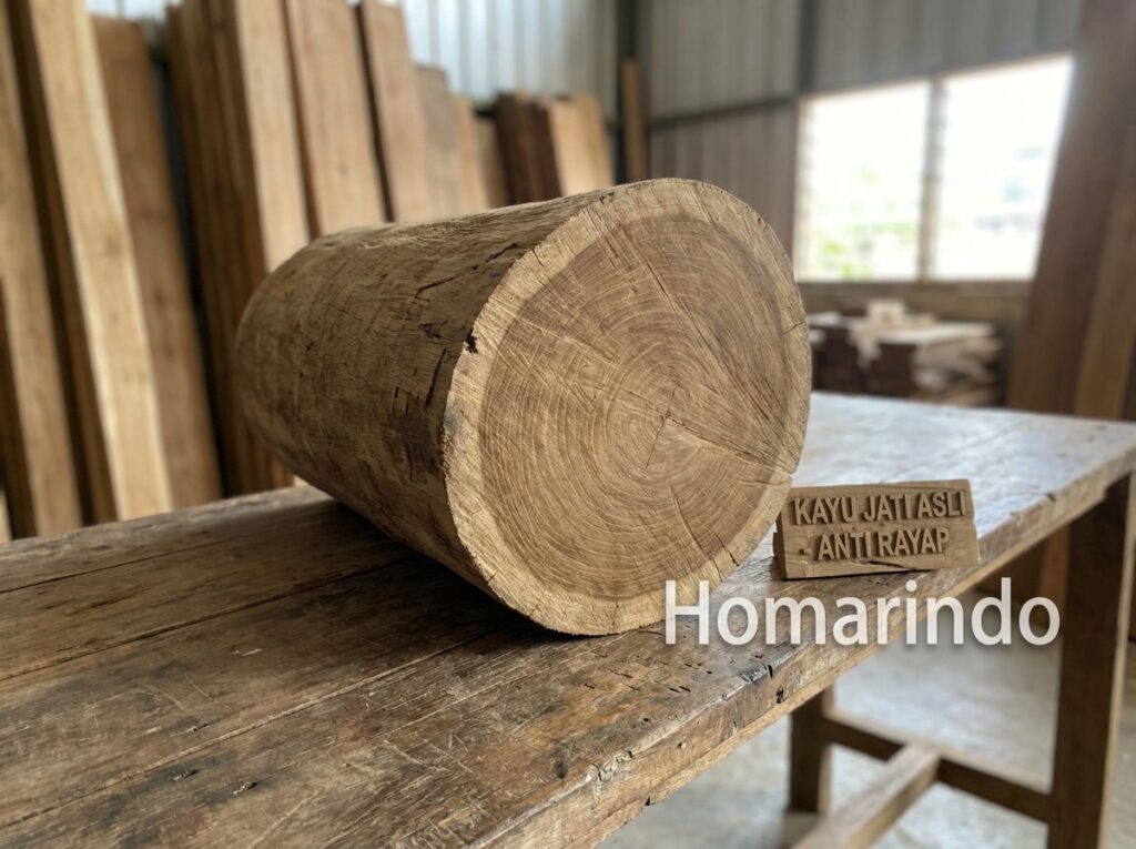 Kayu Jati Tidak Dimakan Rayap