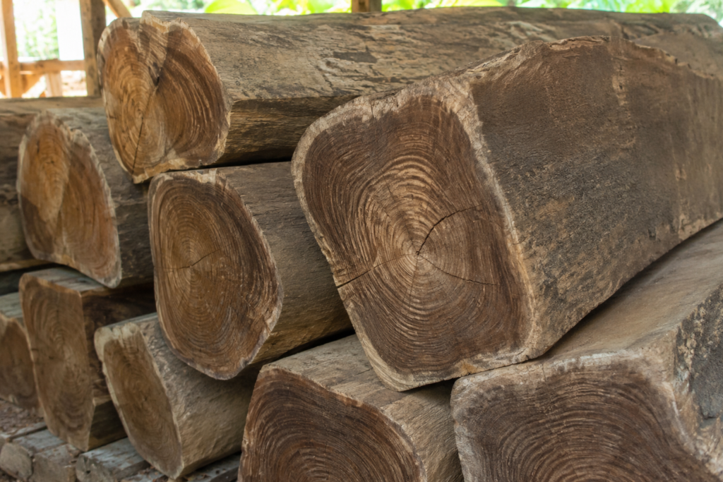 9 Tips Memilih Kayu Jati Berkualitas untuk Membangun Rumah Impian 2 3e77cc71 7502 4e1d bf9f ee9dde392c15